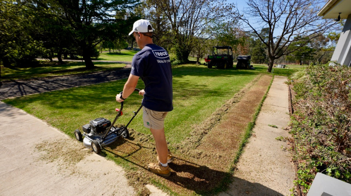 Lawn Renovation Tips for Hervey Bay Properties